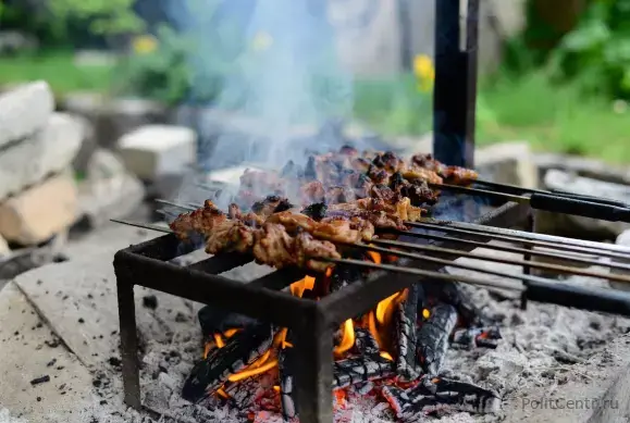 Какое мясо для шашлыка может привести к инвалидности: способы защиты от опасности